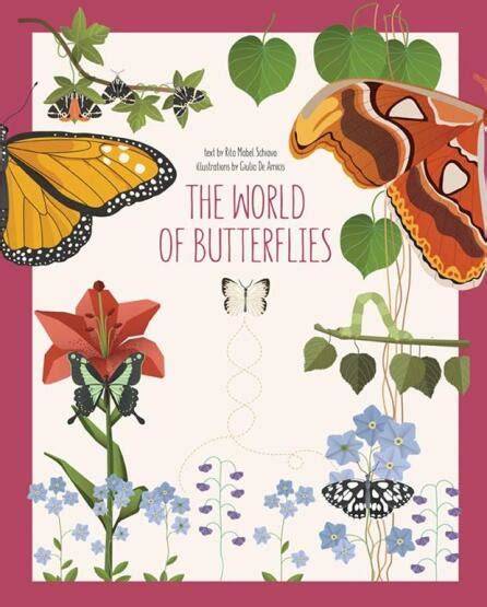 The world of butterflies