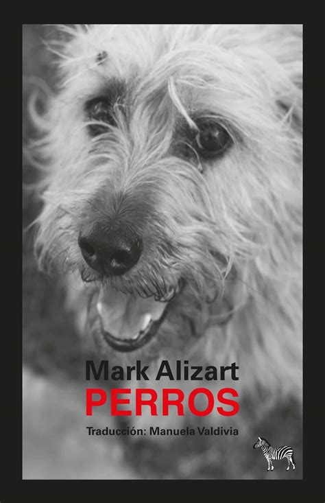 Todos perros (Spanish Edition)