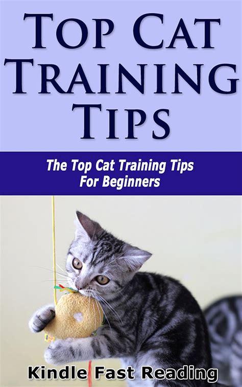 Top Cat Training Tips