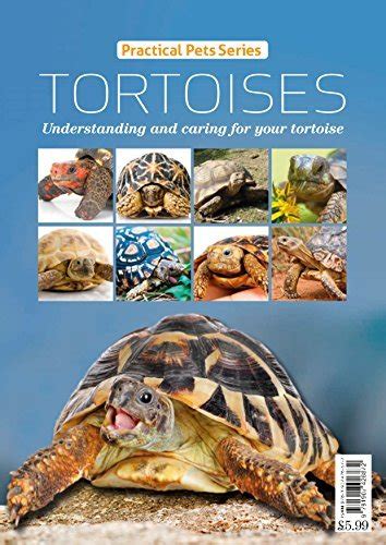 Tortoises