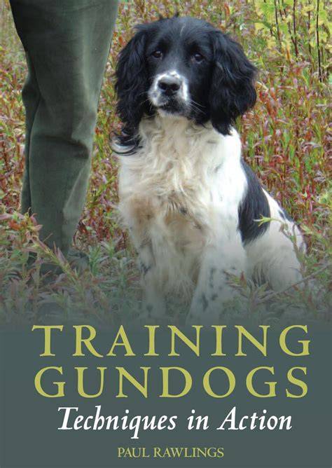 Training Gundogs: Techniques in Action
