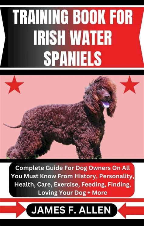Training Spaniels