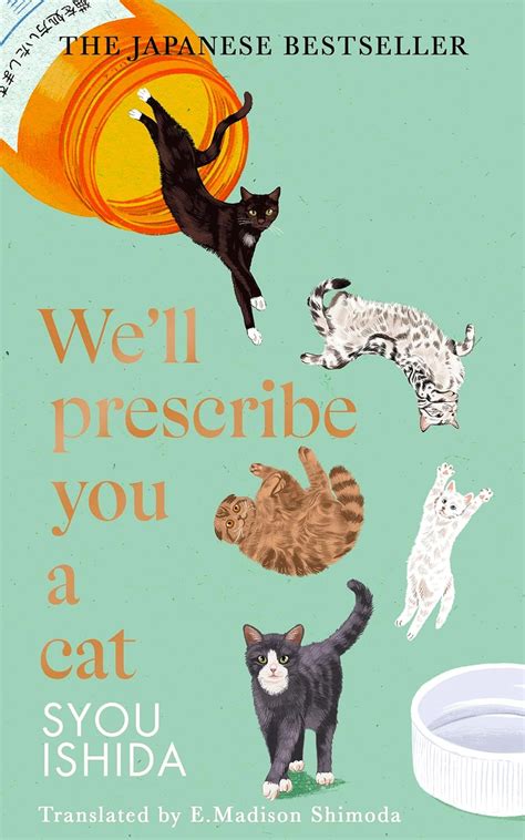 Training Your Cat