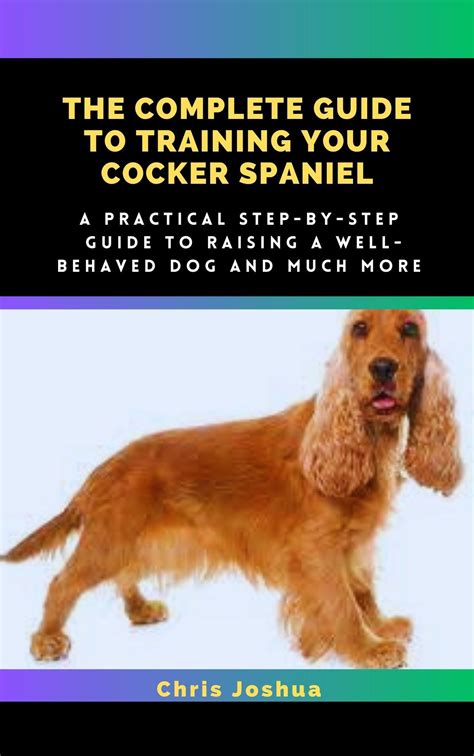 Training Your Cocker Spaniel
