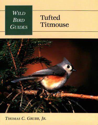 Tufted Titmouse (Wild Bird Guides)