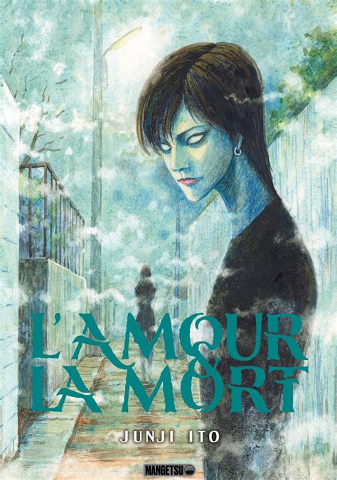 UN FOL AMOUR (French Edition)