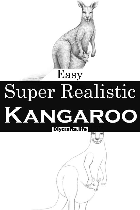 Ultimate Kangaroo Drawing Guide