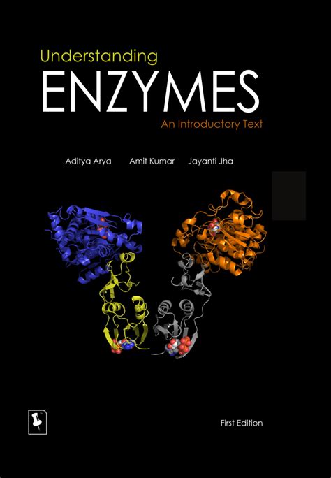 Understanding Enzymes