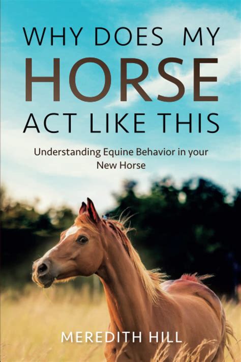 Understanding Horse Behavior