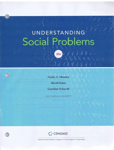 Understanding Social Problems