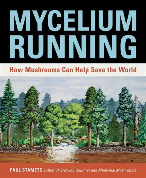Unveiling the World of Mycelium: The Hidden Network