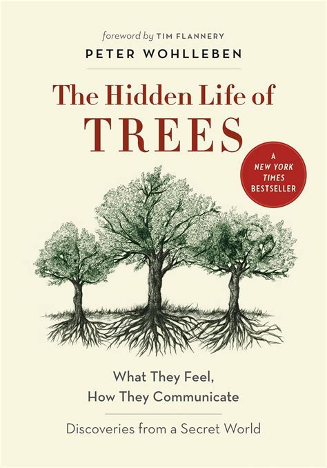 Up Into the Trees: What will be...