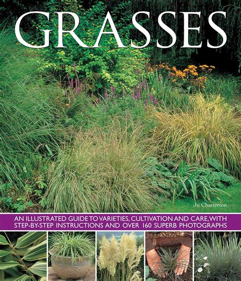 Utah grasses