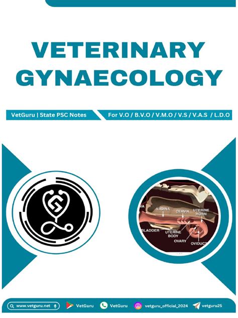 Veterinary Gynaecology