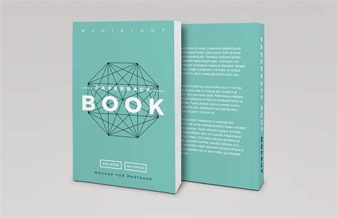 Wang Duo Script [Paperback]