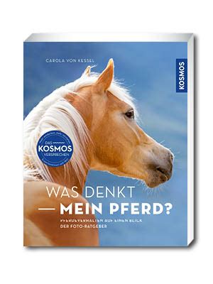 Was denkt mein Pferd