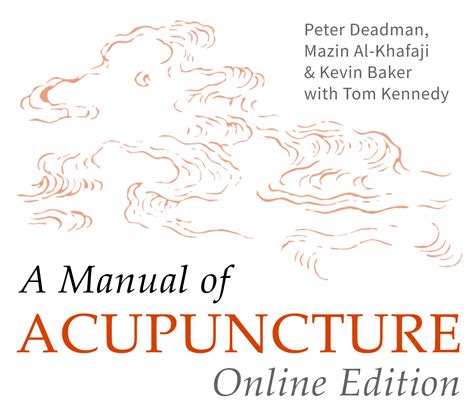 Wei Jia acupuncture experience set