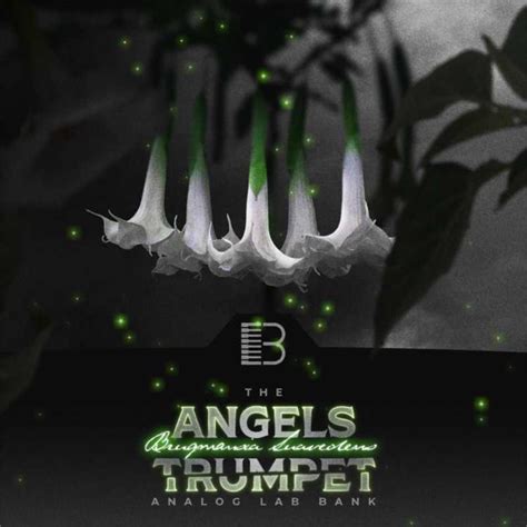 While Angels Trumpet