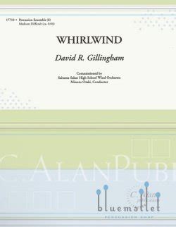 Whirlwind - David R. Gillingham
