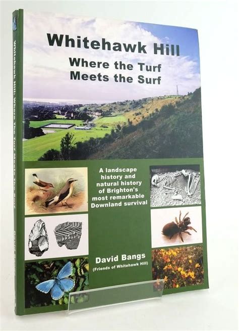 Whitehawk