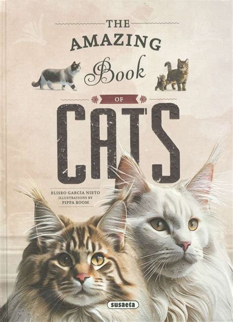 Why Cats Are So Amazing