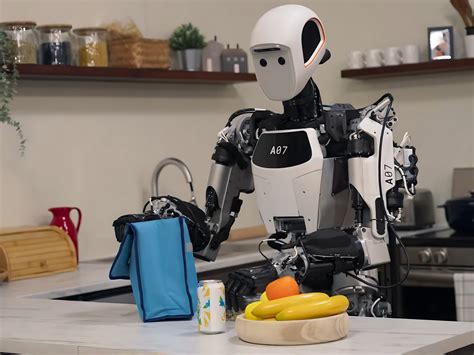 Why I Do Robots, Not Men 4