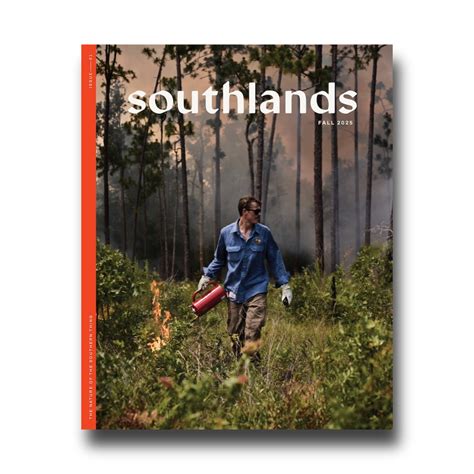Wild Southlands