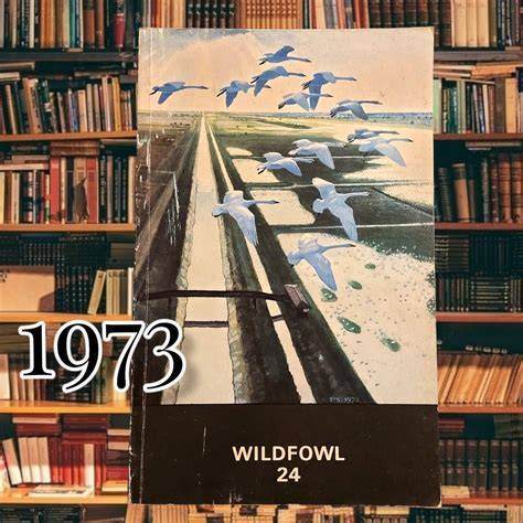 Wildfowl 24