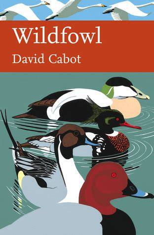 Wildfowl