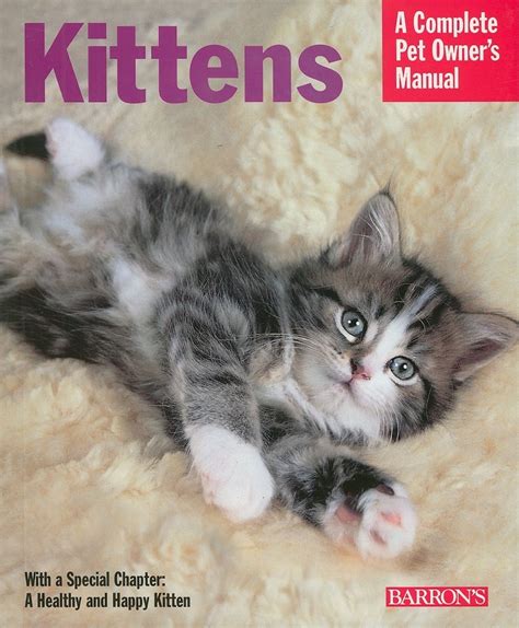 Winter Kittens