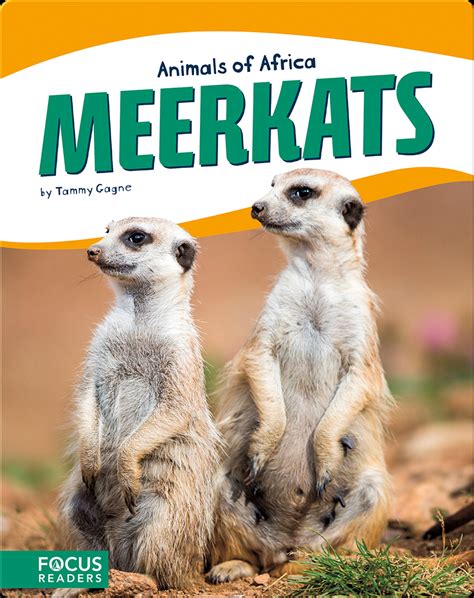 Wisdom of Meerkats