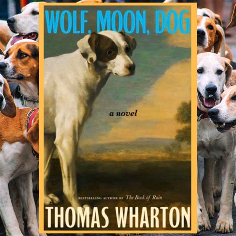 Wolf, Moon, Dog