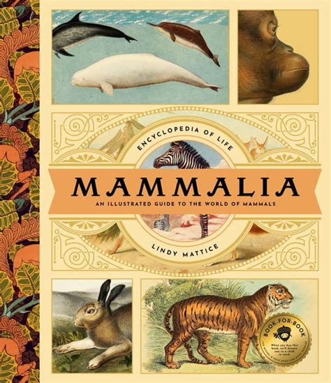 World Guide to Mammals
