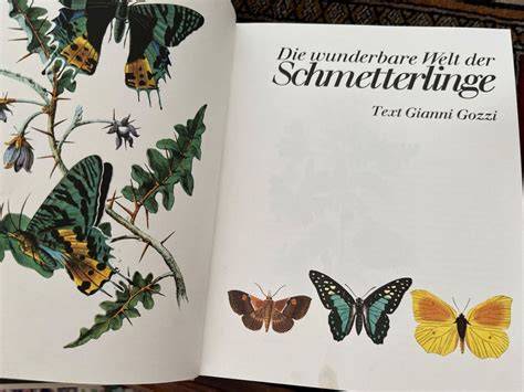Wunderbare Welt der Schmetterlinge