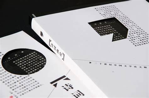Xi Liancheng (Chinese Edition)