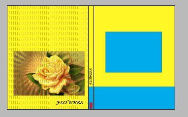 Yellow Rose