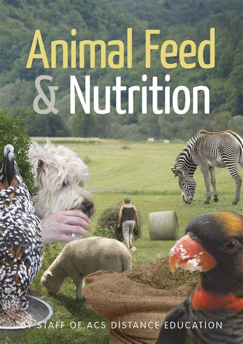 animal nutrition and feed processing