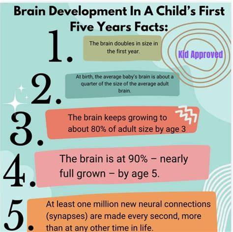 brain development around turn 4 years old