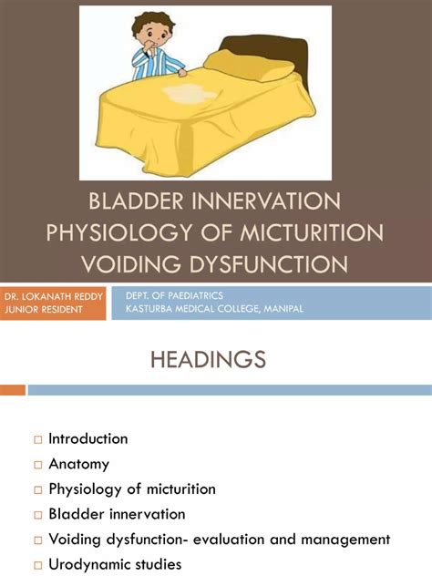 experts to answer voiding dysfunction