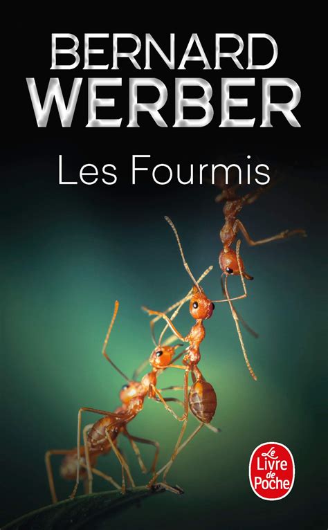 fourmis