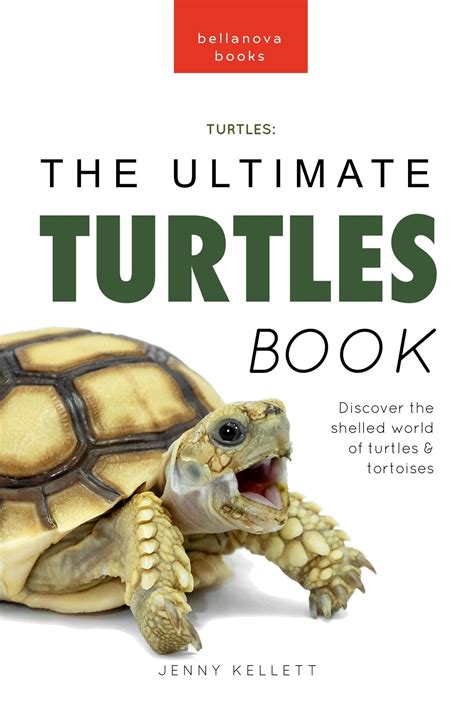 kdp Best DB TURTLE