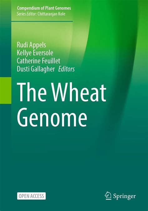 post-processing of wheat Theory and Research
