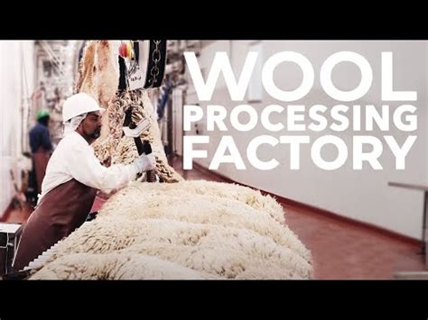 sheep wool processing of new technologies