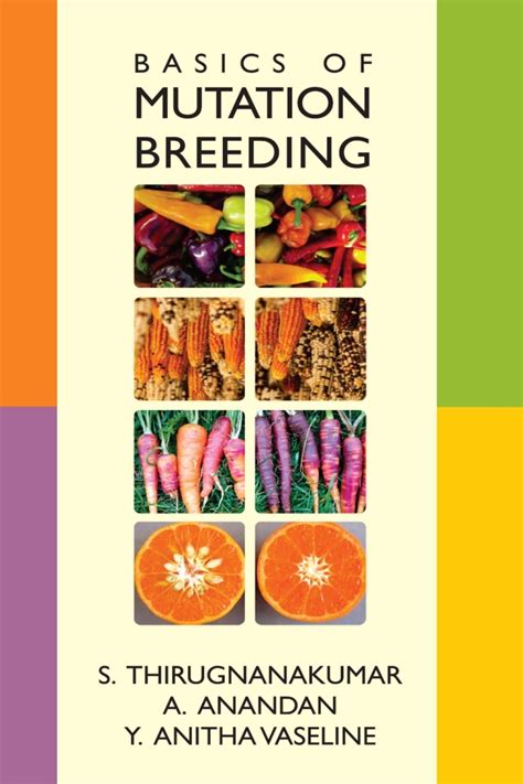 wheat mutation breeding