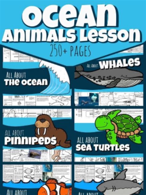 Huge Ocean Animals Lesson 123 Homeschool 4 Me Ocean Lesson Plans 3rd Grade - Ocean Lesson Plans 3rd Grade