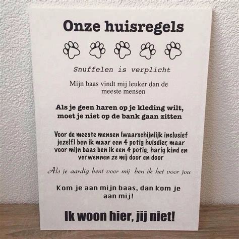 huisregels action honden