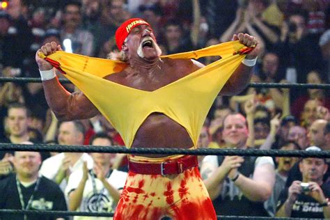 Hulk Hogan Age