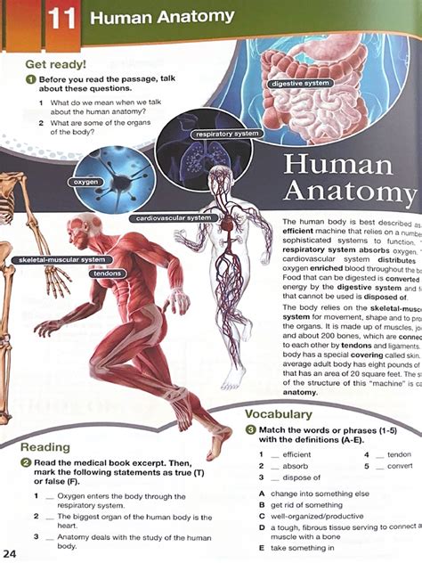 Human Anatomy Pdf