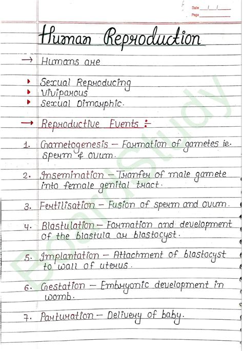 Human Biology Notes