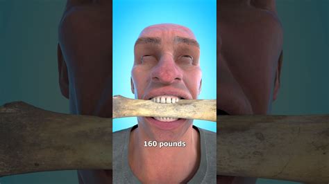 Human Bite Strength